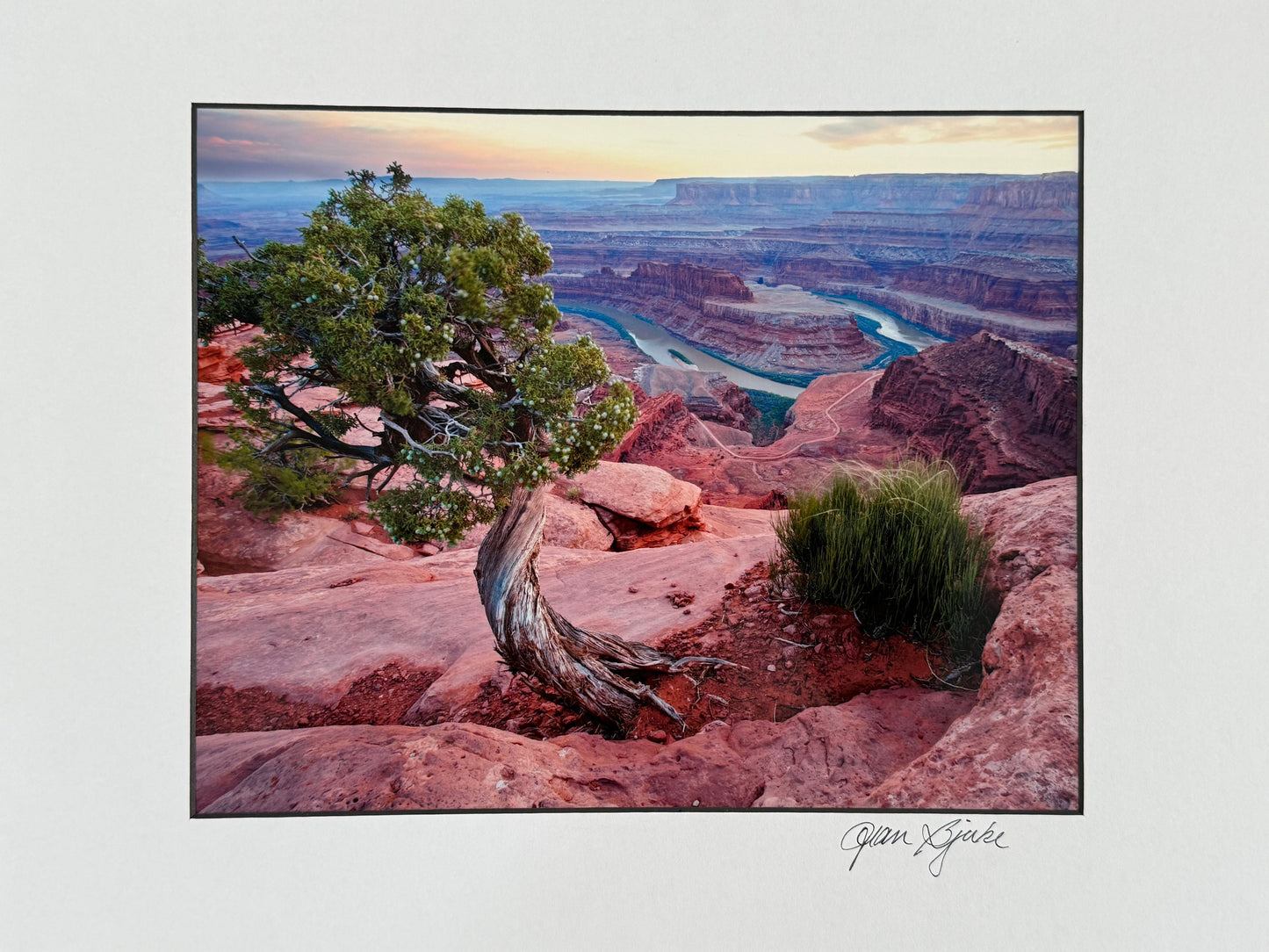 Scenic view of a desert landscape with a tree and Colorado river, framed as a painting.