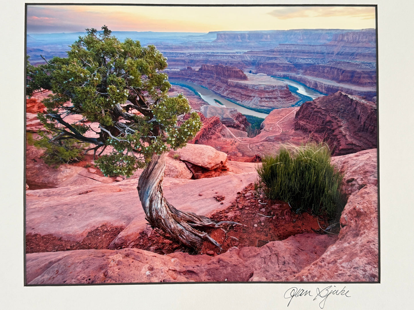 Scenic view of a desert landscape with a tree and rocks, featuring a river and cliffs.
