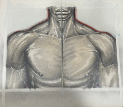 Artistic depiction of a muscular torso with a grid overlay