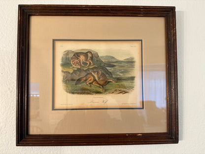 Framed illustration of two animals on a landscape background