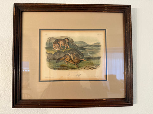 Framed illustration of two animals on a landscape background