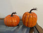 Set of 2 Pumpkins are Perfect for Fall or Thanksgiving Decorations