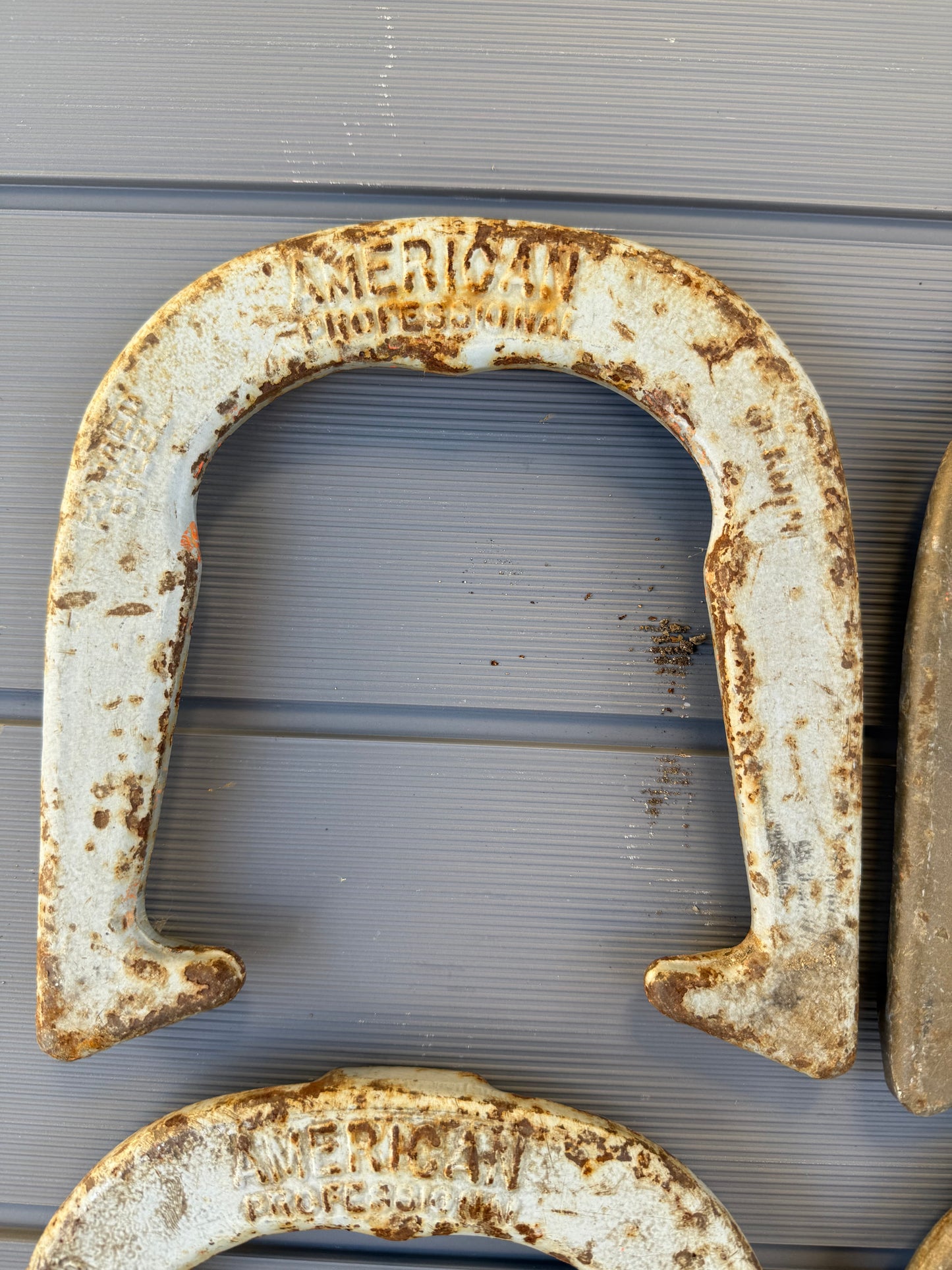 Vintage American Horseshoe Set