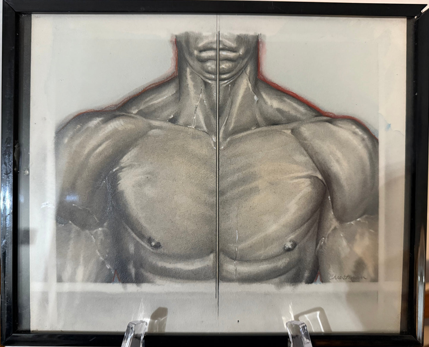 Artistic depiction of a muscular torso on a white background with a black frame.