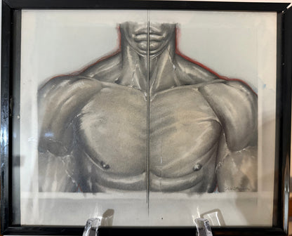 Artistic depiction of a muscular torso on a white background with a black frame.