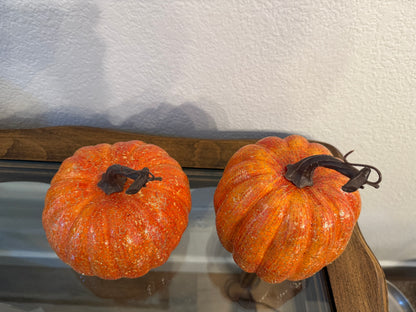 Set of 2 Pumpkins are Perfect for Fall or Thanksgiving Decorations