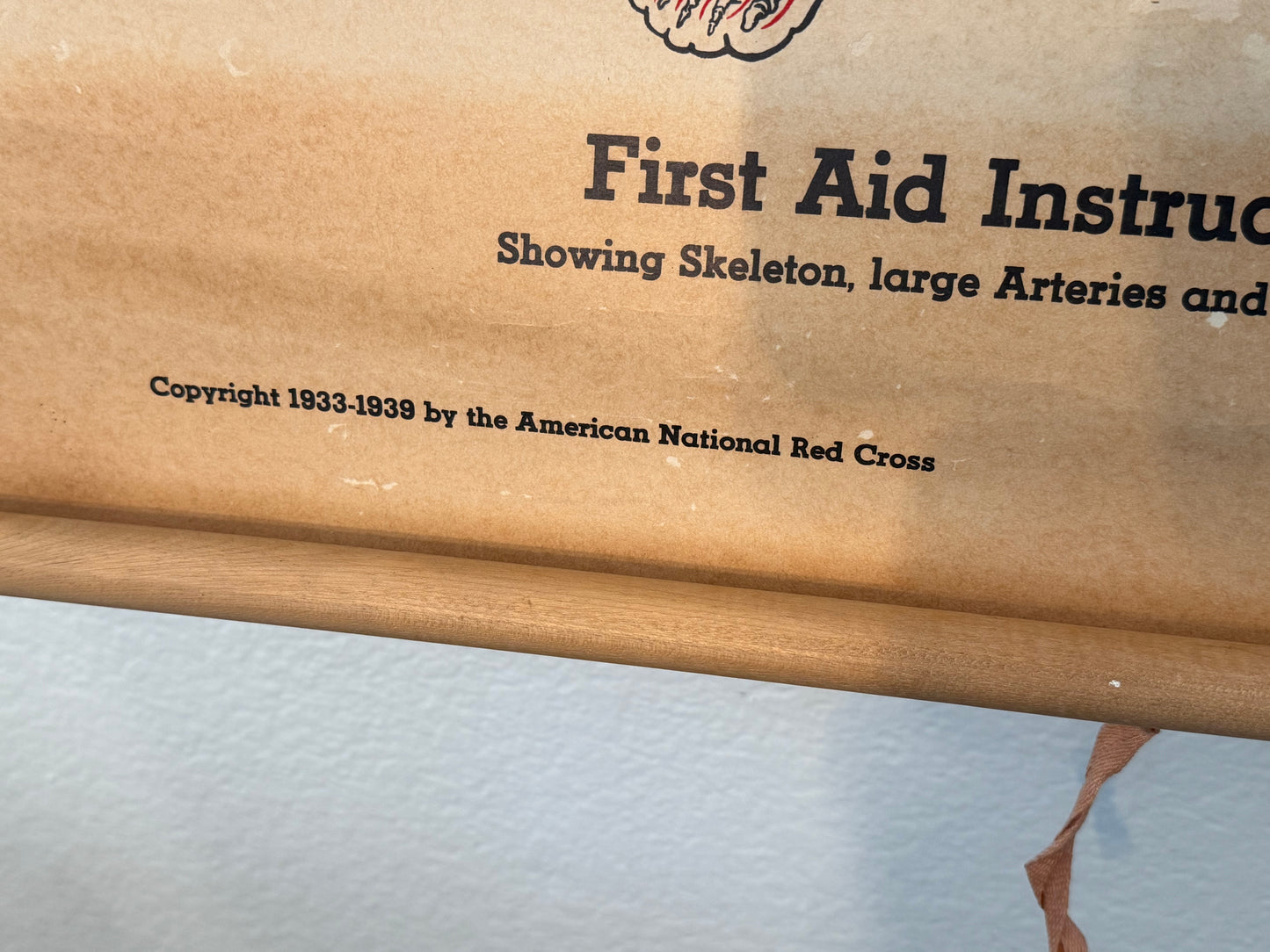 First aid instruction manual with text about a skeleton and arteries, published by the American National Red Cross.