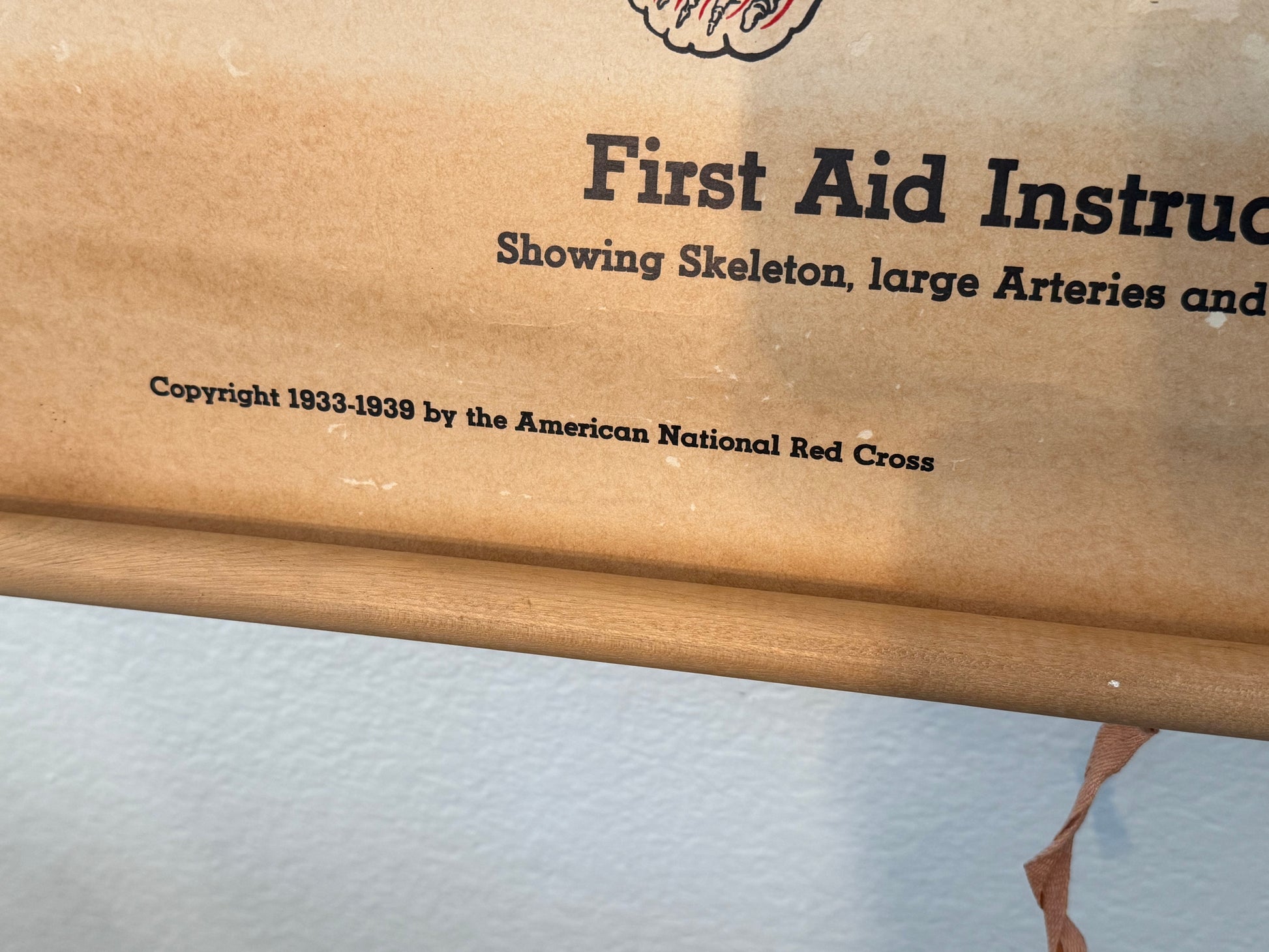 First aid instruction manual with text about a skeleton and arteries, published by the American National Red Cross.