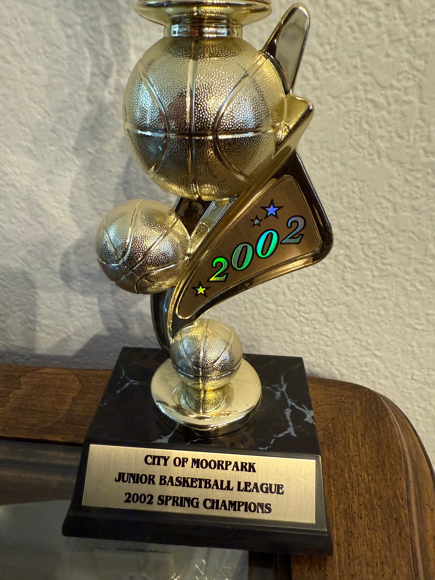 2002 Junior Basketball League Spring Championship (Moorpark, CA)